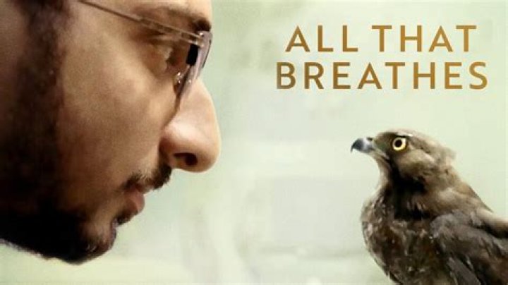 
“All That Breathes” Is Set To Releases On HBO 