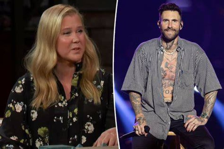 
Amy Schumer Jokes About ‘Kicking It With Adam Levine,’ Talks ‘Good’ Sex Life With Husband Chris Fischer 