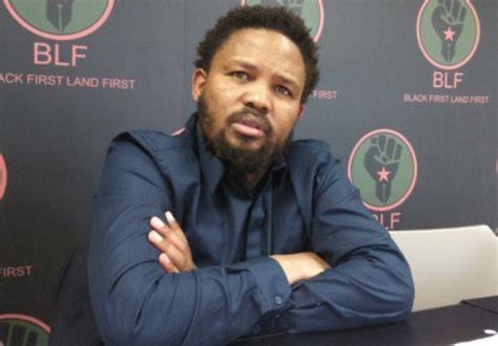 Andile Mngxitama Height, Weight, Net Worth, Age, Birthday, Wikipedia, Who, Instagram, Biography