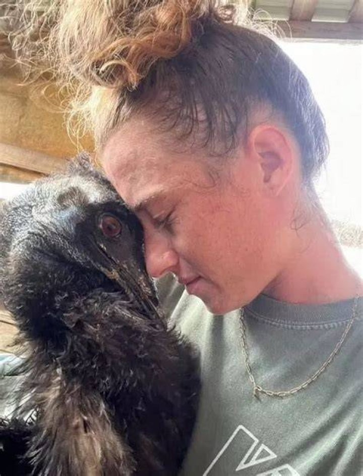 
Bindi Irwin Replies to Plea for Help from Owner of Ailing Emmanuel the Emu: ‘Our Hearts Are with You’ 