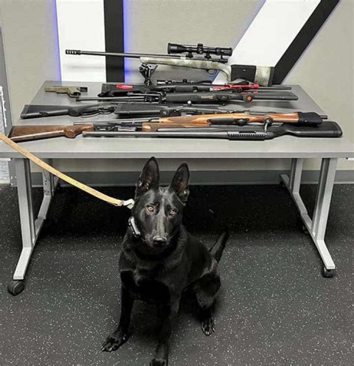 
California sheriff’s deputies arrest 12-year-old for allegedly threatening to shoot up middle school 