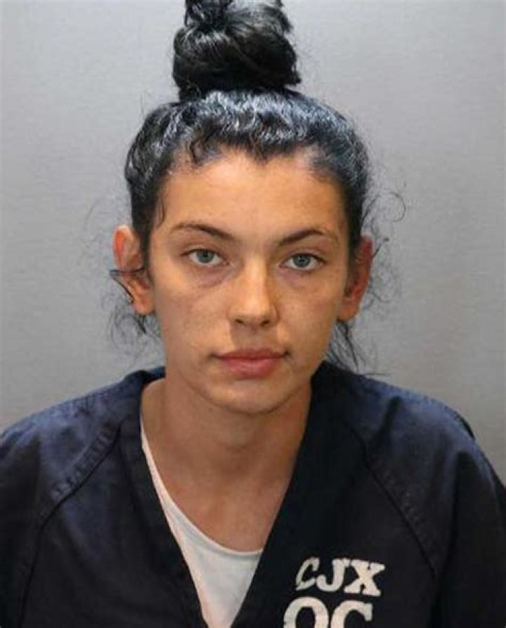 
Cat lover charged with murder for running over a man to save a kitty 