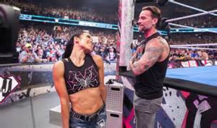 CM Punk Wife AJ Lee Height, Weight, Net Worth, Age, Birthday, Wikipedia, Who, Nationality, Biography