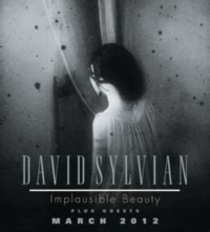 David Sylvian Illness And Health Update: Why Implausible Beauty Tour Cancelled?
