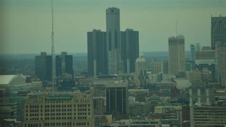
Detroit_dust Age, Birthday, Wikipedia, Who, Nationality, Biography 