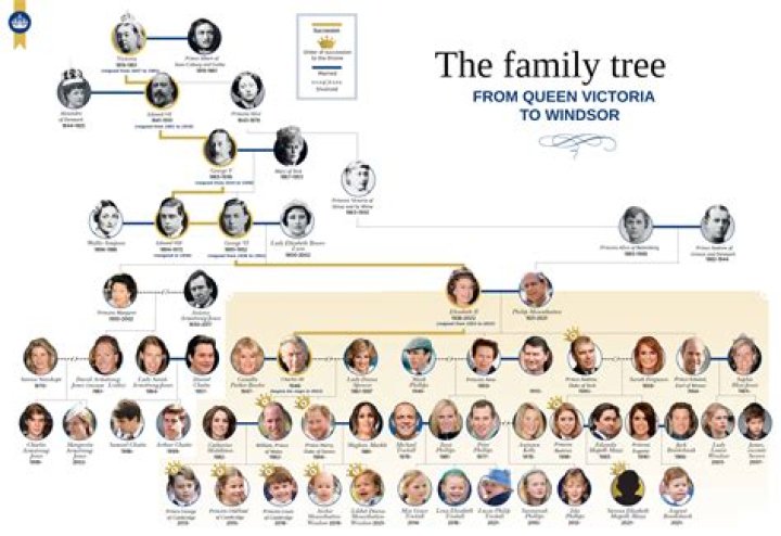 Does Marty Cohen Have Children? Wife And Family Tree Explored
