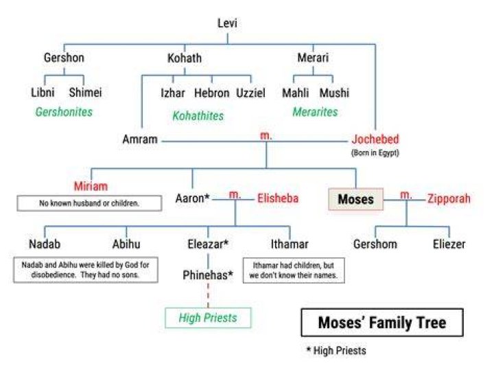 Does Moses Storm Have A Sister? Siblings – Were His Parents Cult Members?