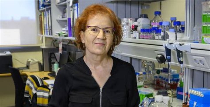 
Dr. Margarita Del Val Facts, Net Worth, Age, Birthday, Wikipedia, Who, Nationality, Biography 