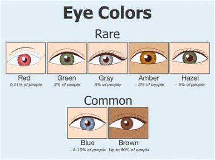 Fans Notice That Kendrick Sampson Has One Of The Rarest Eye Color