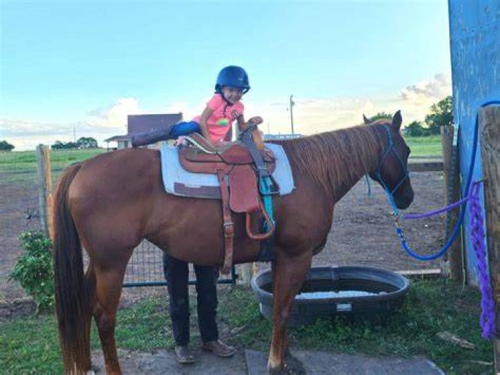 Great Places for Horseback Riding Lessons in Boynton & Delray | Macaroni KID Boynton Beach