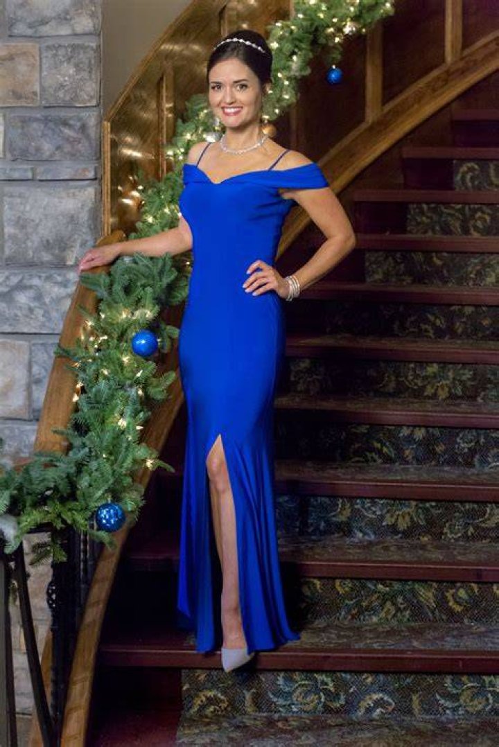 
Is Danica Mckellar An Artist? Is The Coming Home For Christmas Actress Married? 