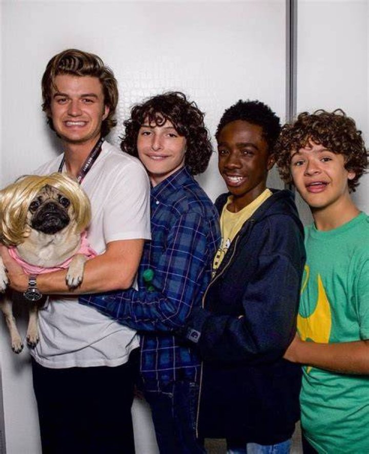 Is Joe Keery dead? Does Joe Keery have Kids?