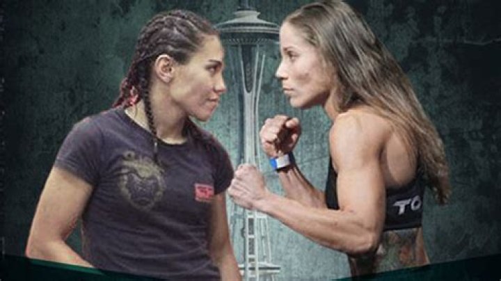 
Is MMA Fighter Liz Carmouche Really a Lesbian? 