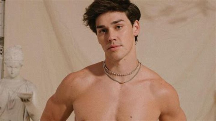Is Noah Beck Gay? Is the TikTok Star Dating James Charles?
