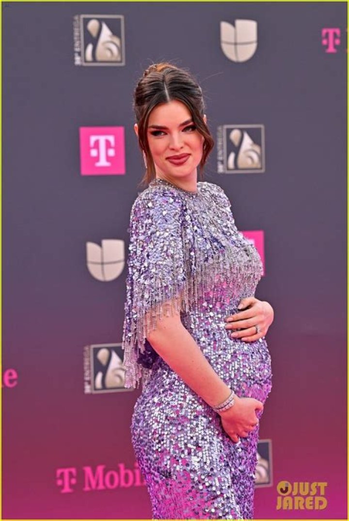 
Is Sky Ferreira Pregnant | Baby And Health Update 