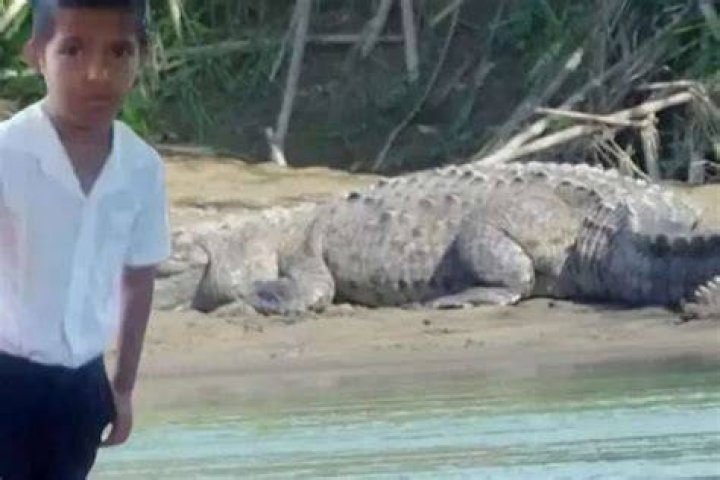 
Julio Otero Fernández, was killed by the Predator in front of his Parents 