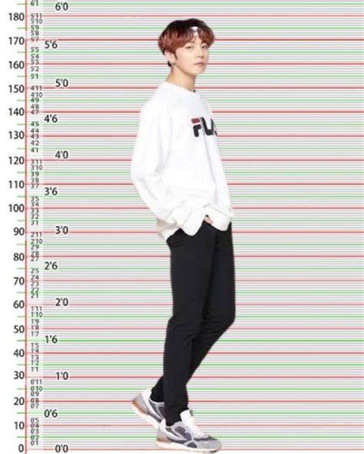 
Kim Jong-Kook Height, Weight, Net Worth, Age, Birthday, Wikipedia, Who, Instagram, Biography 