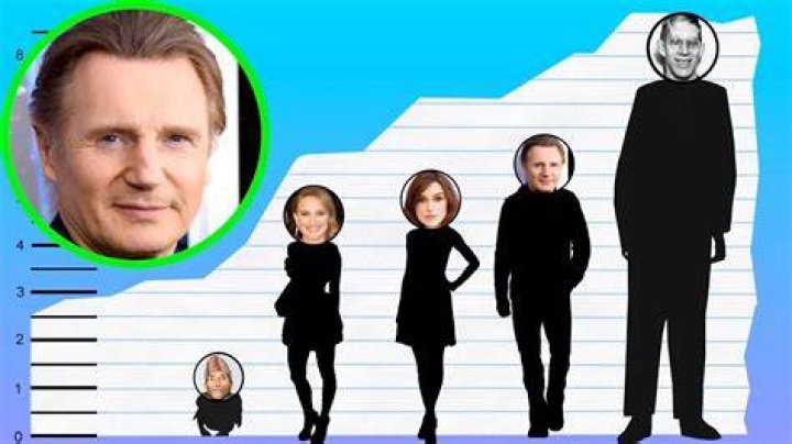 Liam Neeson Height, Weight, Net Worth, Age, Birthday, Wikipedia, Who, Nationality, Biography