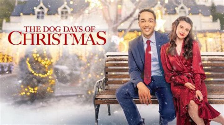 
Lifetime’s The Dog Days of Christmas Cast & Movie Review 