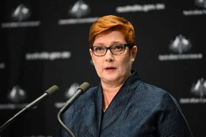 
Marise Payne Illness And Health Update; What Happened To Senator Of Australia 