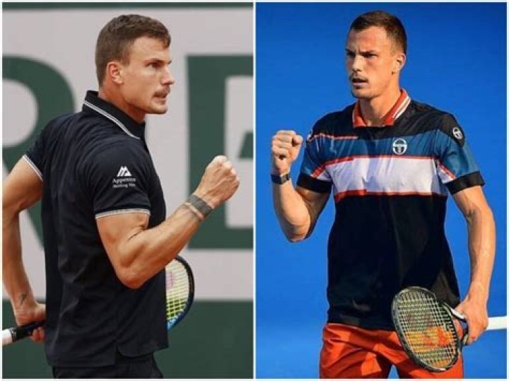 Márton Fucsovics Height, Weight, Net Worth, Age, Birthday, Wikipedia, Who, Nationality, Biography