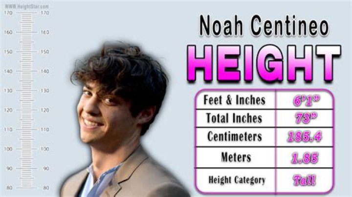 Noah Centineo Height, Age, Girlfriend, Biography, Wiki, Net Worth