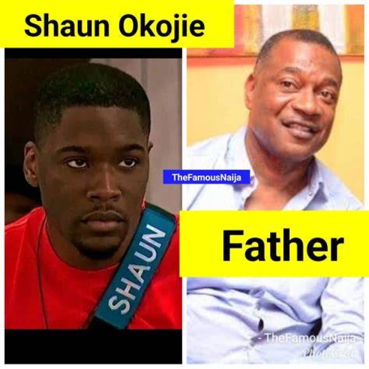 Omono Okojie Age, Birthday, Wikipedia, Who, Nationality, Biography