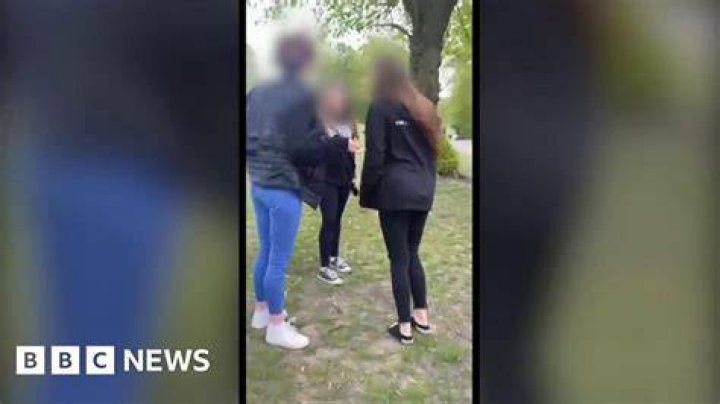 
Outside school, a 12-year-old girl was severely assaulted by dogs in front of horrified children. 