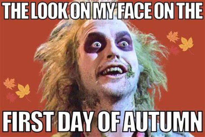 
People Are Celebrating the First Day of Fall With Hilarious Autumn-Themed Memes 