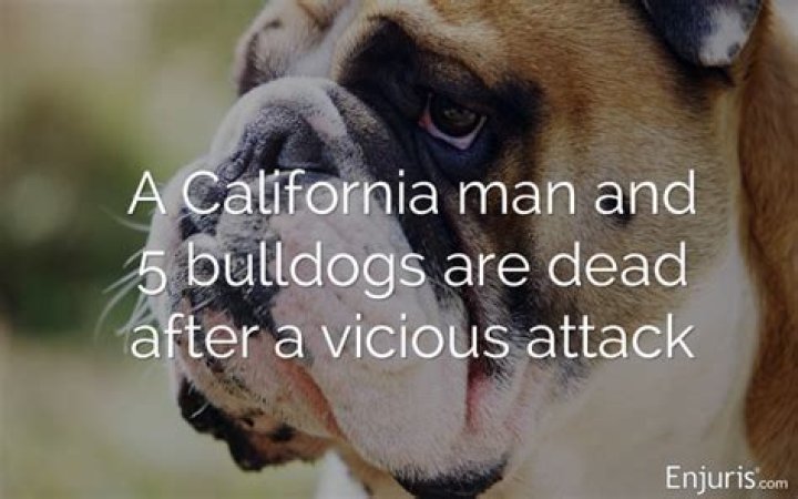 
Richard “Hutch” Barry: who is he? Five English bulldogs mauled a man to death. 