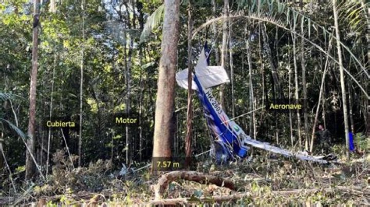 
SecondDeath of Courtney Mahar Confirmed In Amazon Crash, What We Know About The Victim 