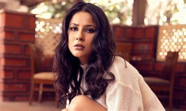 
Shehnaaz Gill: ‘Main chahti hoon ki Thor iss Kaur pe bhi thoda dhyaan de’ 