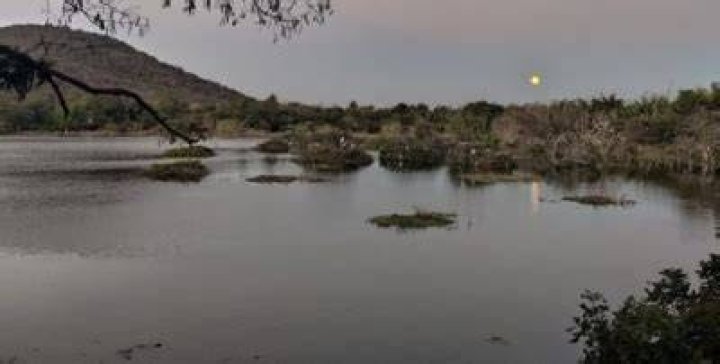 
TN wetland mission sanctions Rs 1.5 cr for restoration of 16 acre Otteri lake 