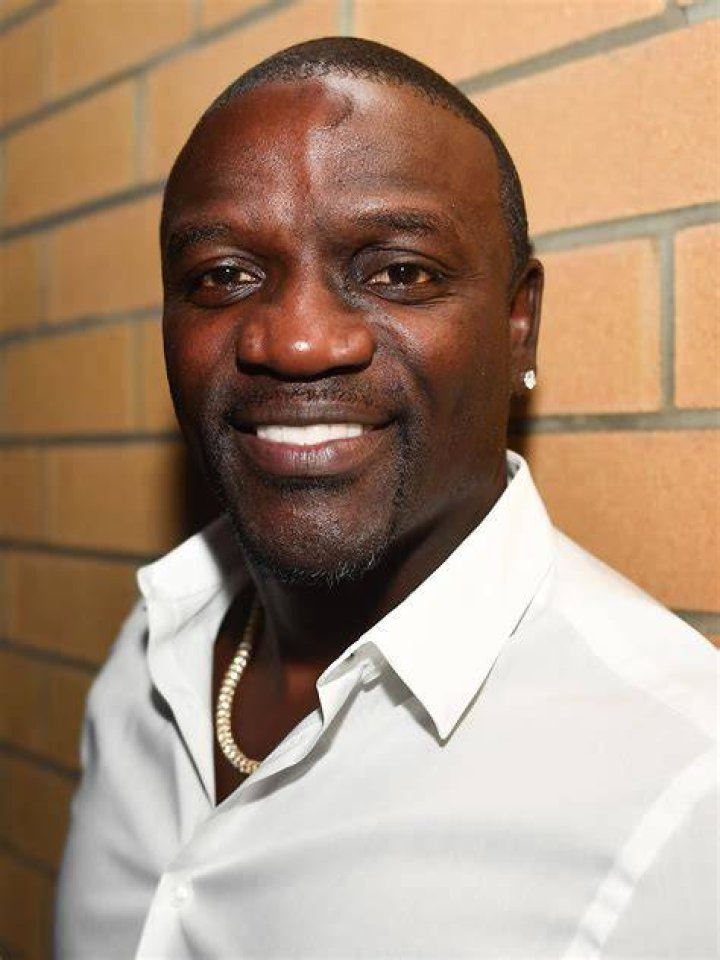 
What did Akon say about Africans and Americans? Singer sparks controversy with undue comparison 