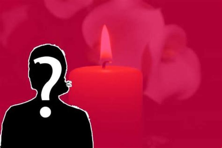 
What Happened To Denise Golgin From New York? Woman Passed Away After Battling Cancer 