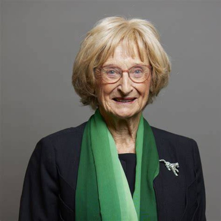
What Happened To Sally Greengross? British Politician Passed Away At 87 