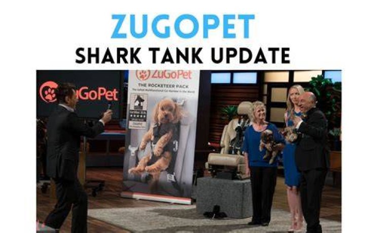 What Happened To Shark Tank Tangle Pets Owner Husband? Here Is What We Know