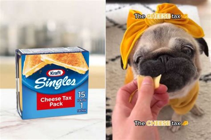 
What is a ‘Cheese Tax Pack?’ Kraft Singles launches limited edition snack inspired by viral TikTok song 