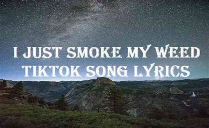
What Is I Just Smoke My Weed TikTok Song? New Trend Goes Viral As Fans Search For Its Lyrics And Original Track 