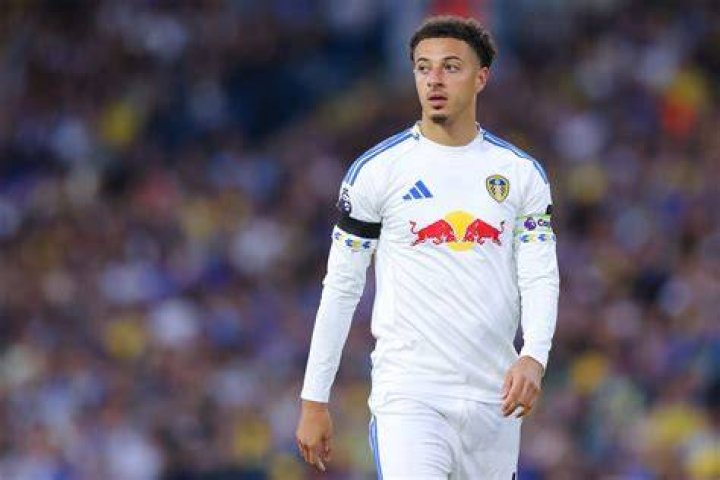 
What Is The Name of Sam Greenwood Brother? here Is What you Need To Know About Leeds United Player 