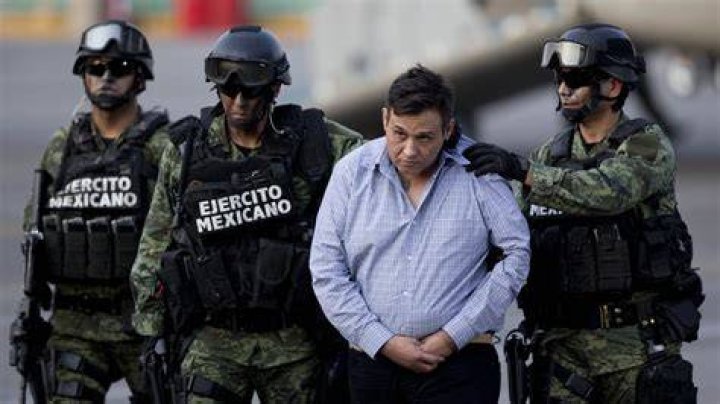 
Who Is Francisco Torres? Drug Cartel Leader Arrested In Mexico 