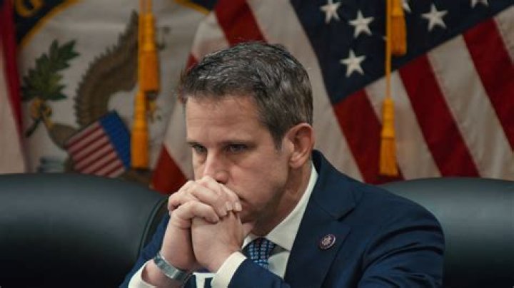 
Who Is Sitting Behind Adam Kinzinger? Jan 6 Hearing and Prosecution 