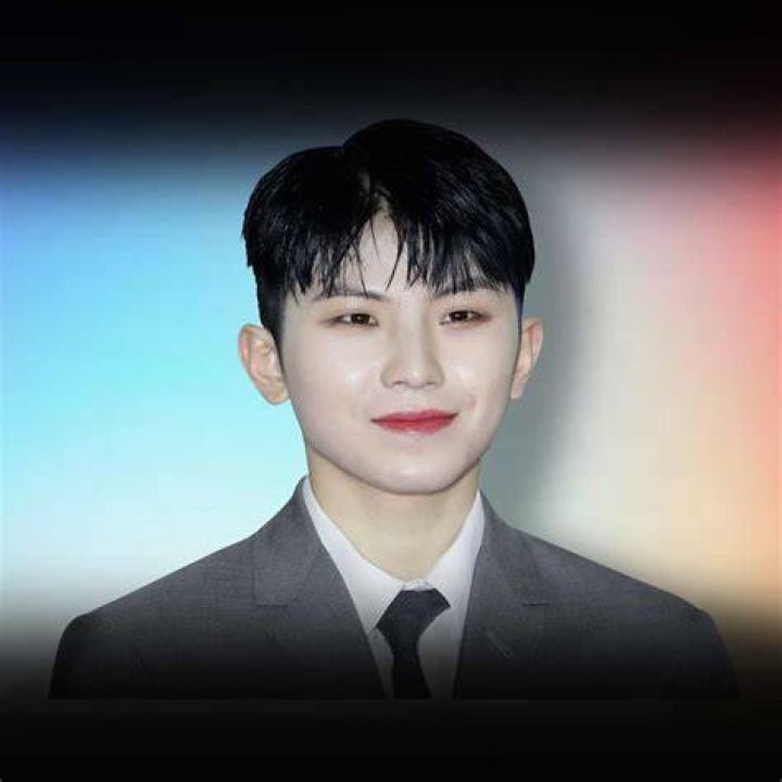 
Woozi Height, Weight, Net Worth, Age, Birthday, Wikipedia, Who, Nationality, Biography 
